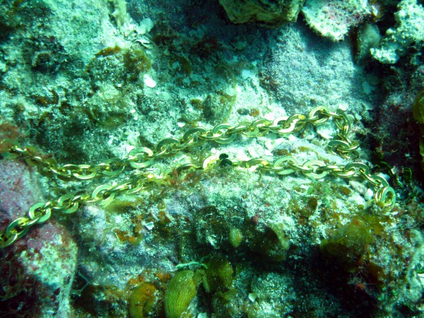 As found: the gold money chain on the sea bed